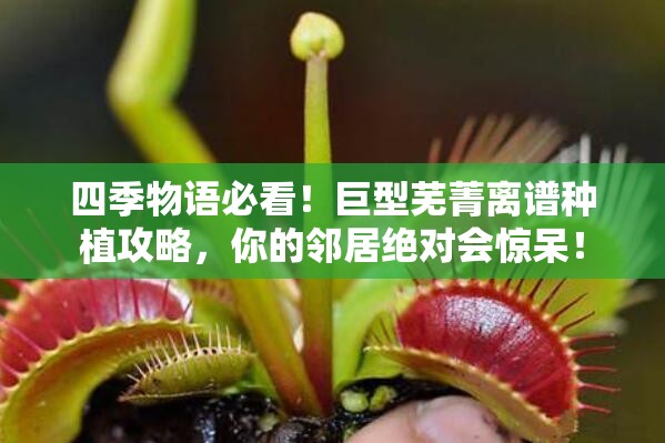 四季物语必看！巨型芜菁离谱种植攻略，你的邻居绝对会惊呆！
