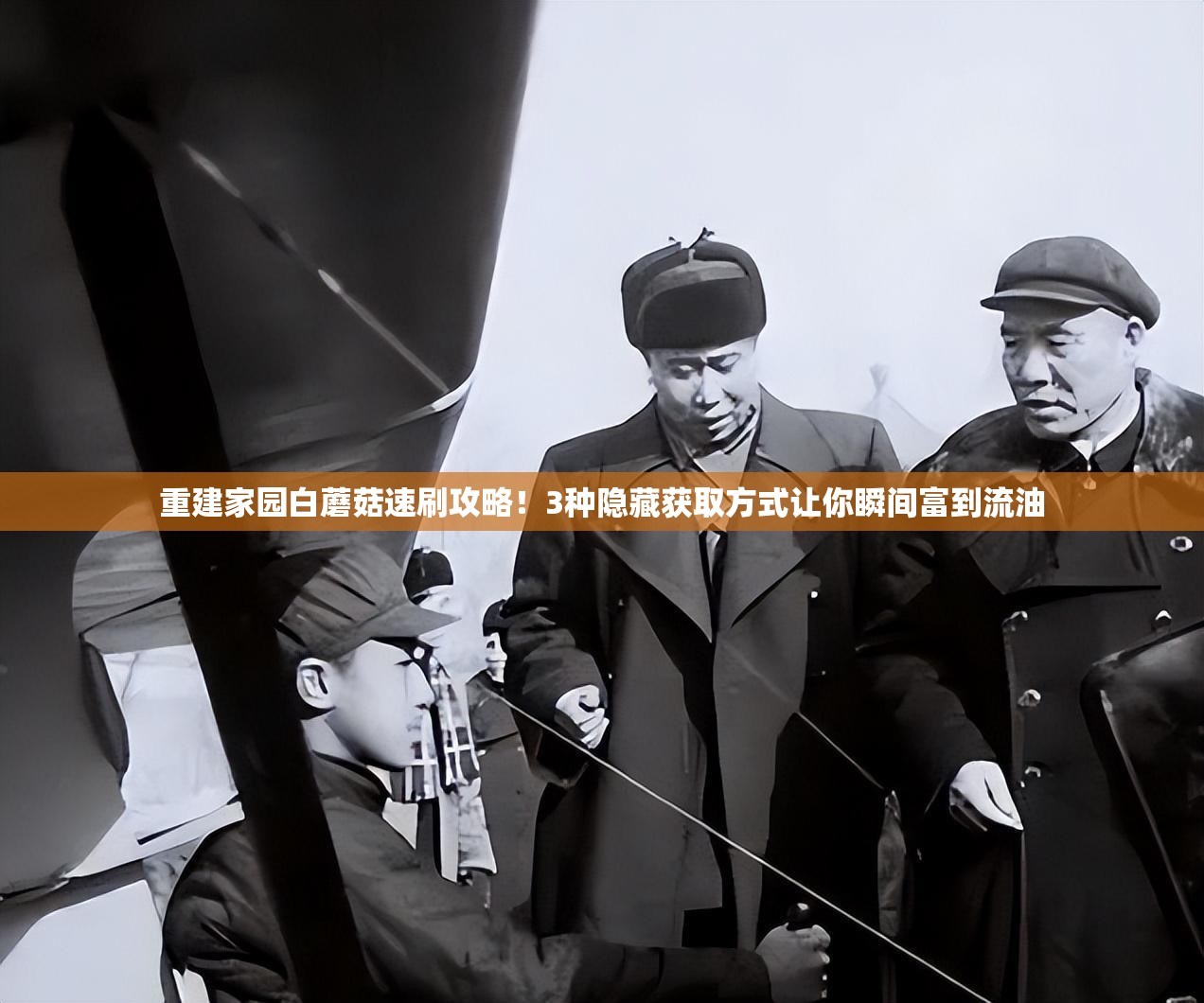 重建家园白蘑菇速刷攻略！3种隐藏获取方式让你瞬间富到流油